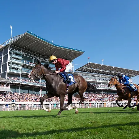 Appartement Ground Floor Nunnery Bright, Beautiful Flat With Garden In - Pass The Keys