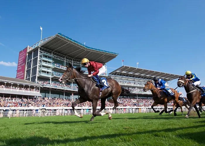 Appartement Ground Floor Nunnery Bright, Beautiful Flat With Garden In - Pass The Keys